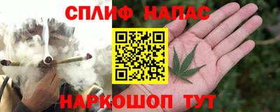 стаф Чебаркуль