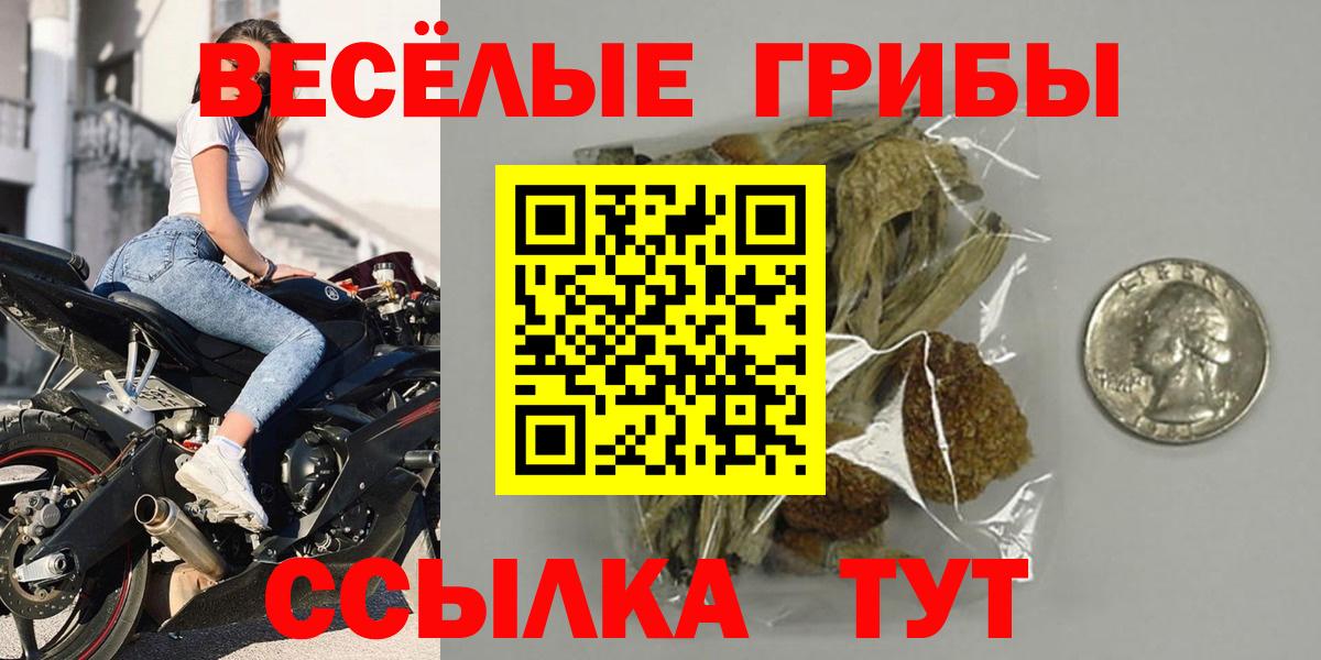Аша  Псилоцибиновые грибы ЛСД  Галлюциногенные грибы мицелий  Вход с VPN 